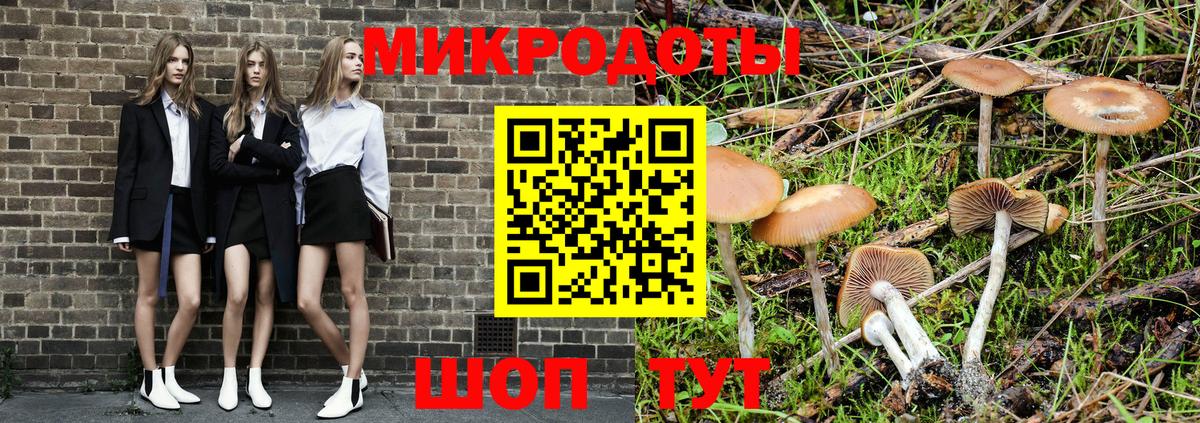 Псилоцибиновые грибы Psilocybine cubensis Великие Луки